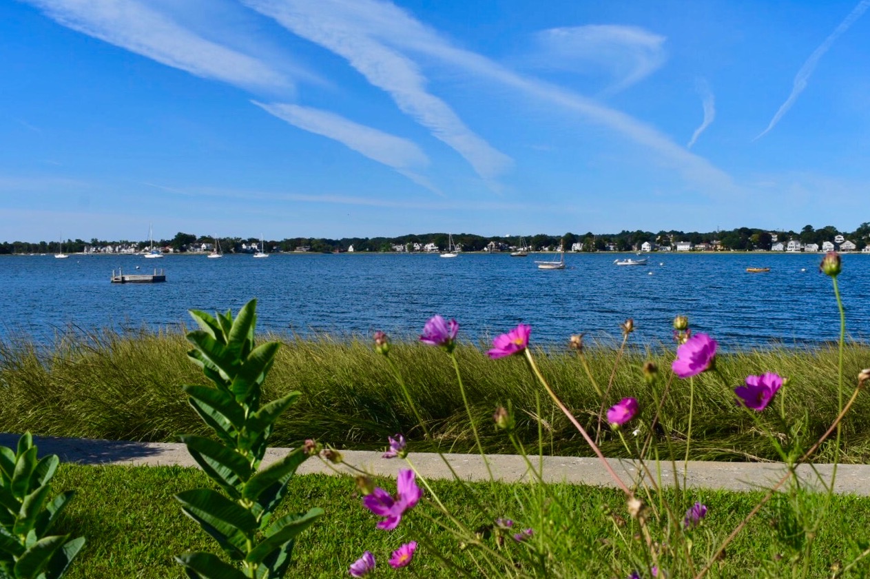 Summer in Coastal Connecticut
